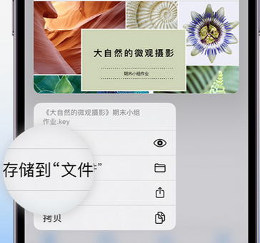 江干apple维修中心分享iPhone文件应用中存储和找到下载文件