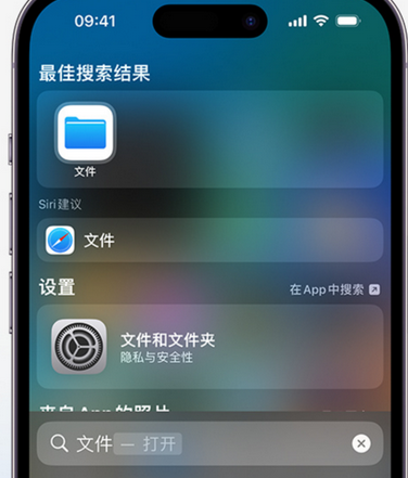 江干apple维修中心分享iPhone文件应用中存储和找到下载文件 