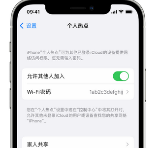 江干apple服务站点分享iPhone上个人热点丢失了怎么办 