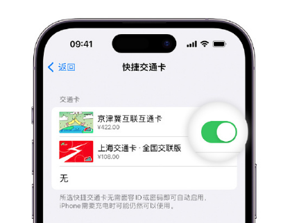 江干apple维修点分享iPhone上更换Apple Pay快捷交通卡手绘卡面 