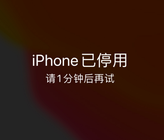 江干苹果手机维修分享:iPhone 显示“不可用”或“已停用”怎么办？还能保留数据吗？ 