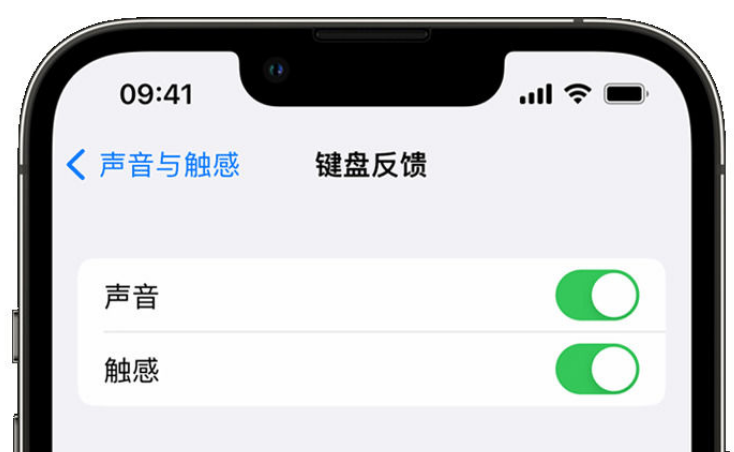 江干苹果手机维修分享iPhone 14触感键盘使用方法 