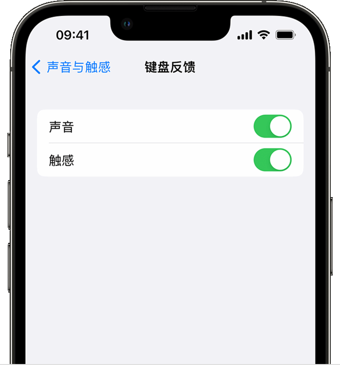 江干苹果14维修店分享如何在 iPhone 14 机型中使用触感键盘 