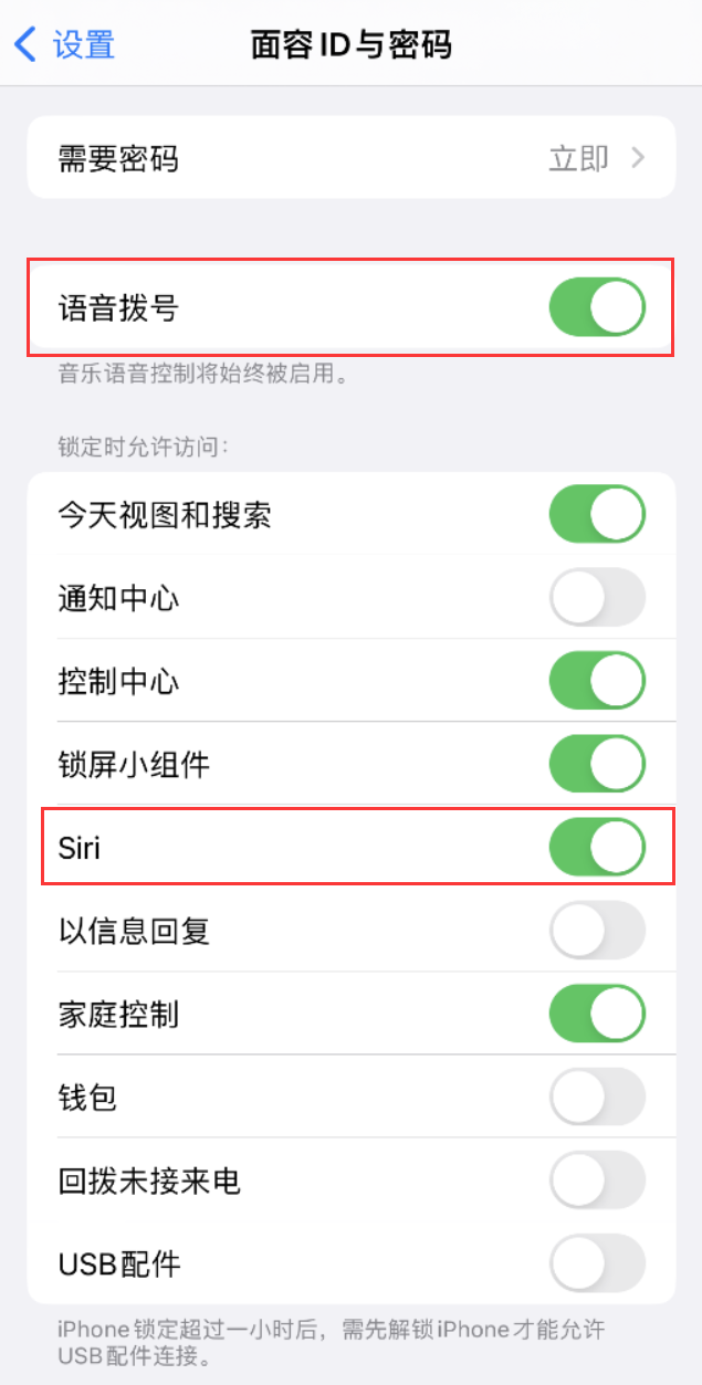 江干苹果维修网点分享不解锁 iPhone 的情况下通过 Siri 拨打电话的方法 