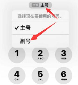 江干苹果14维修店分享iPhone 14 Pro Max使用副卡打电话的方法 