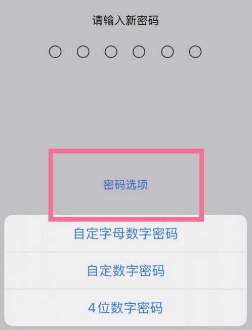 江干苹果14维修分享iPhone 14plus设置密码的方法 