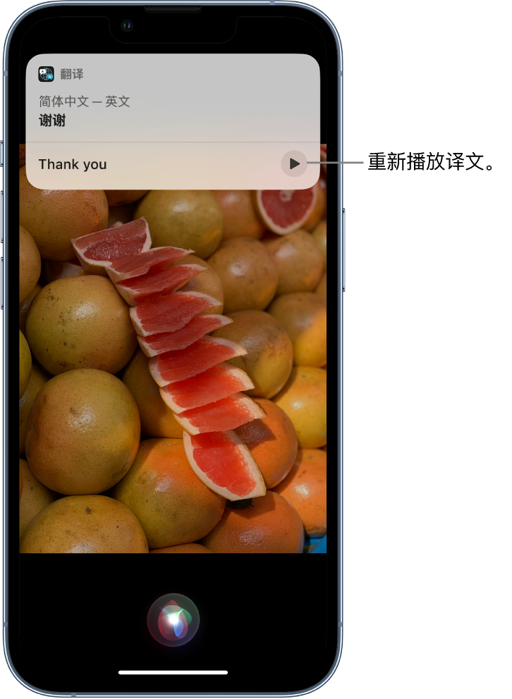 江干苹果14维修分享 iPhone 14 机型中使用 Siri：了解 Siri 能帮你做什么 