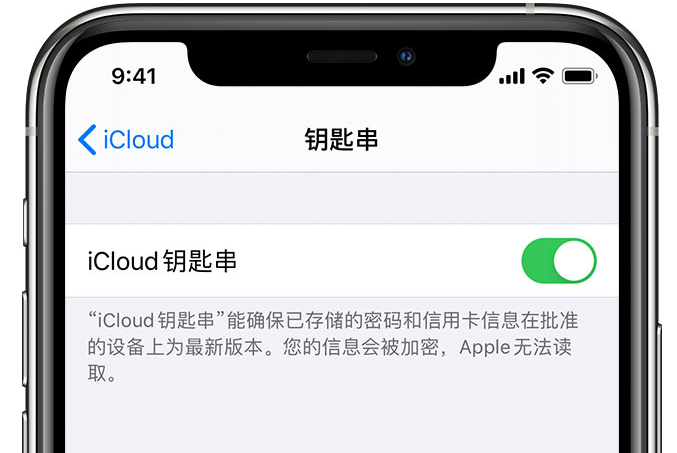 江干苹果手机维修分享在 iPhone 上开启 iCloud 钥匙串之后会储存哪些信息 